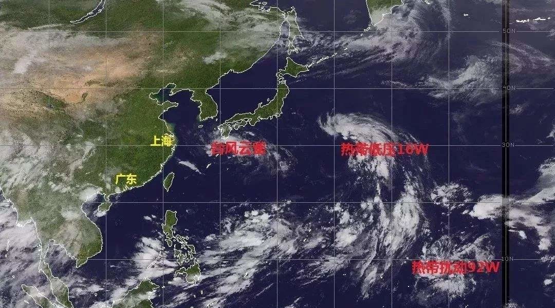 云雀 云雀