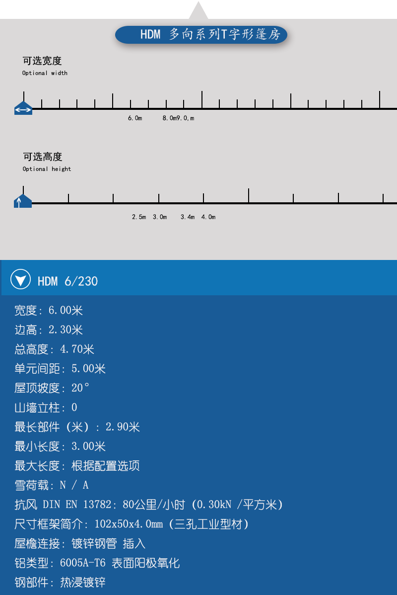 小型T字形篷房，小型篷房，華燁篷房，篷房定制
